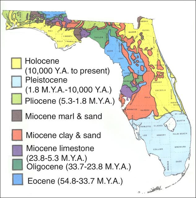 Florida_soil.jpg