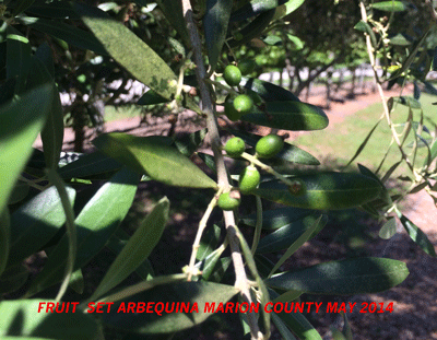 FruitsetMarionCty-2014.png
