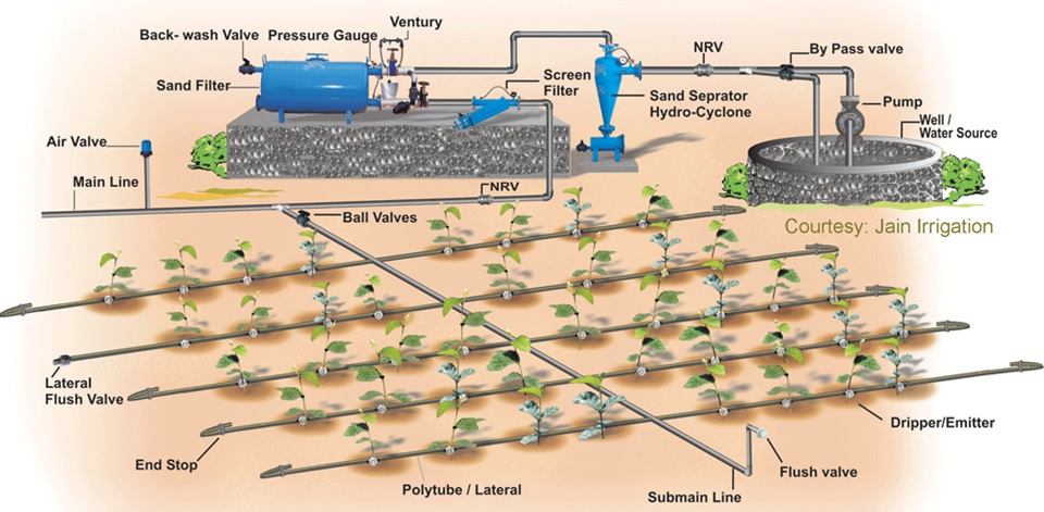 grove_irrigation_design.jpg
