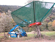 olive-harvesting-machine-shaker.jpg