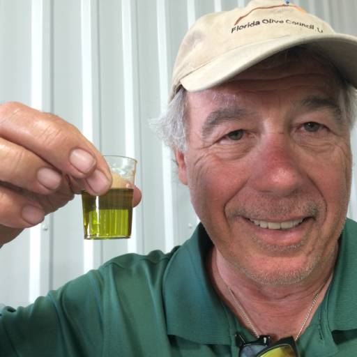 cropped-MOGolive-oil-CU.jpg