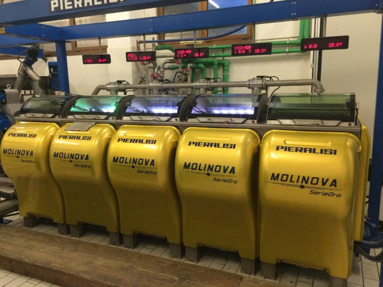 Olive Milling Sustainable Olive Production in Florida