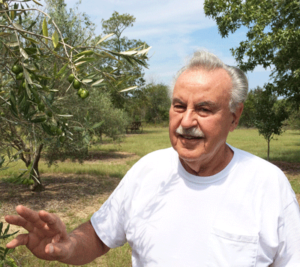 Godfather of Florida Olives