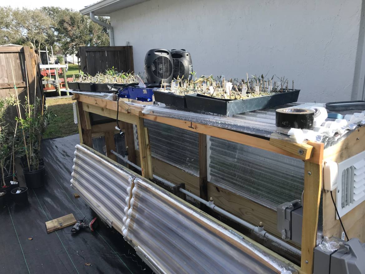 210-backyard-greenhouse-junk.jpeg