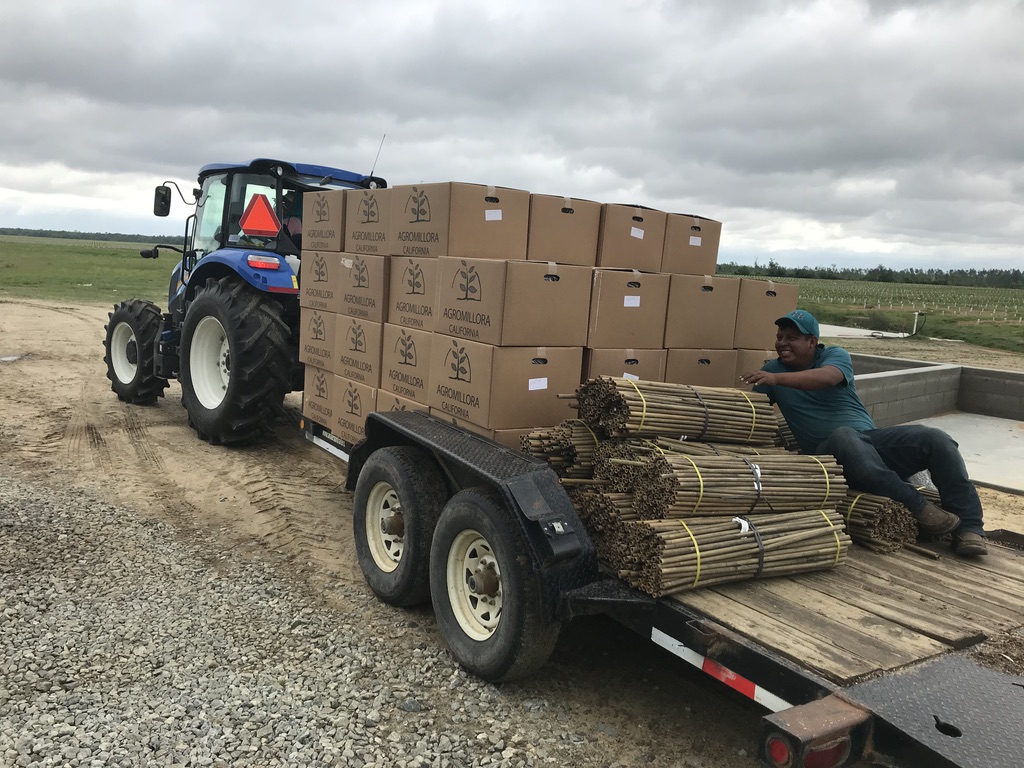 Truck-with-Agromillora-plants.jpg